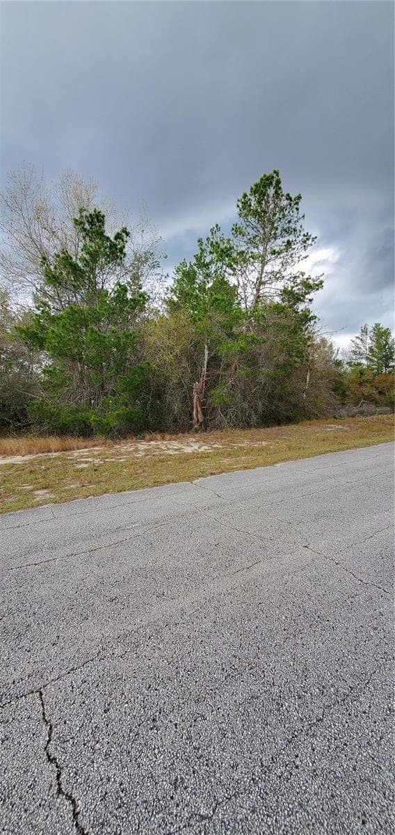 Land at 1428 HILLSBOROUGH DR, POINCIANA, photo 5 of 6