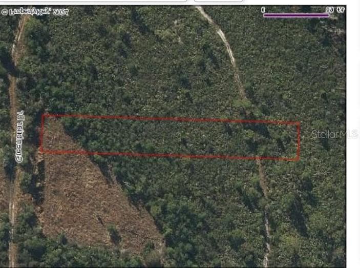 Land at 1101 GREENBRIAR DR, CHRISTMAS, photo 2 of 2