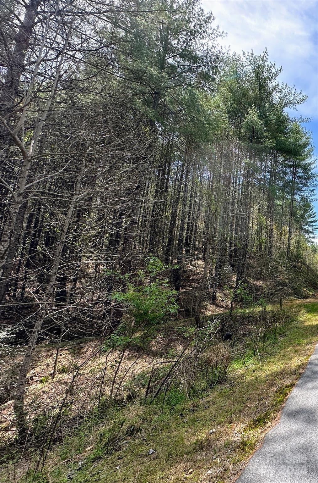 Lot 132 - National Forest Dr. - 0 National Forest Drive, Lenoir