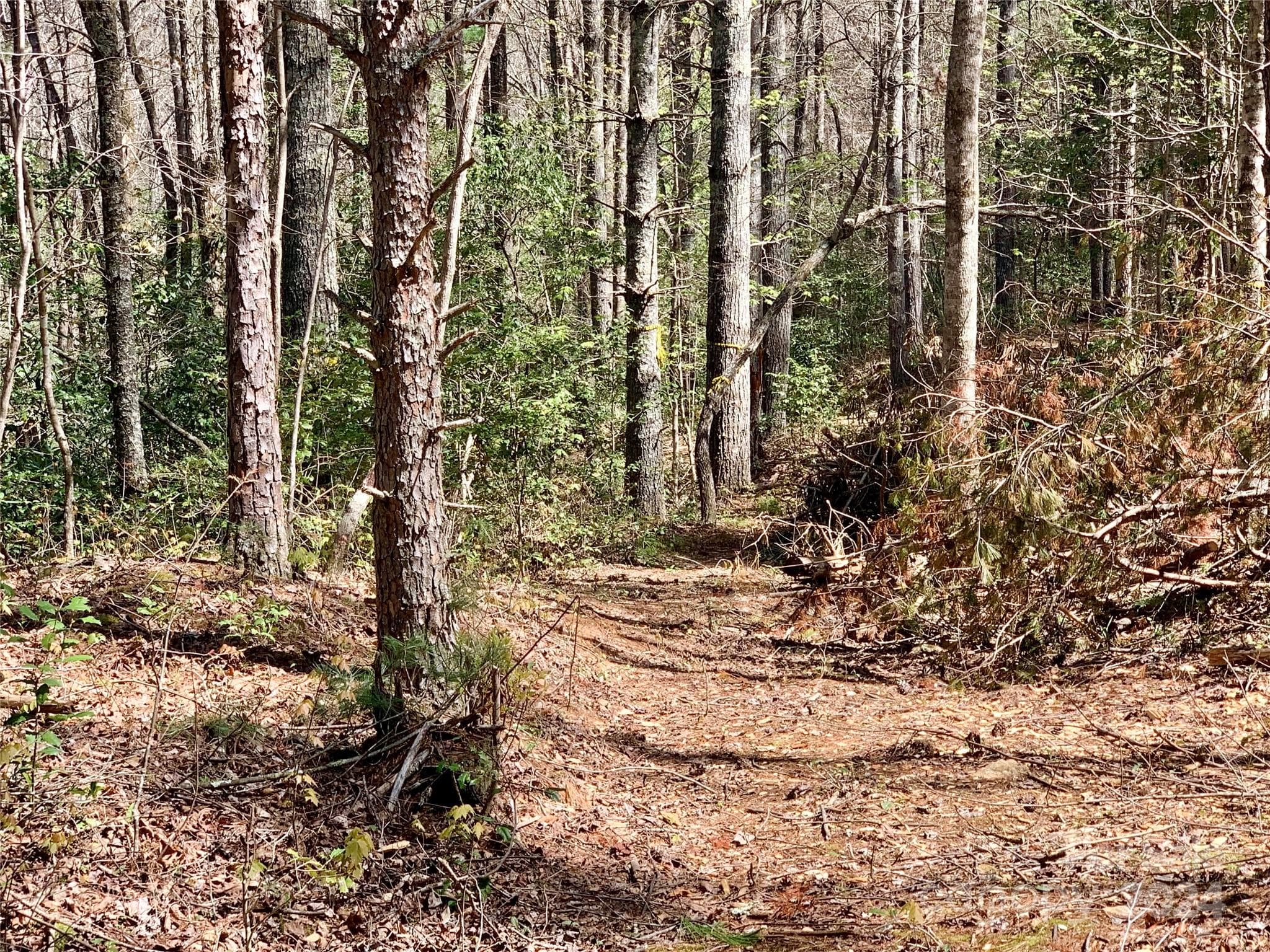 Lot at Lenoir, photo 5 of 44