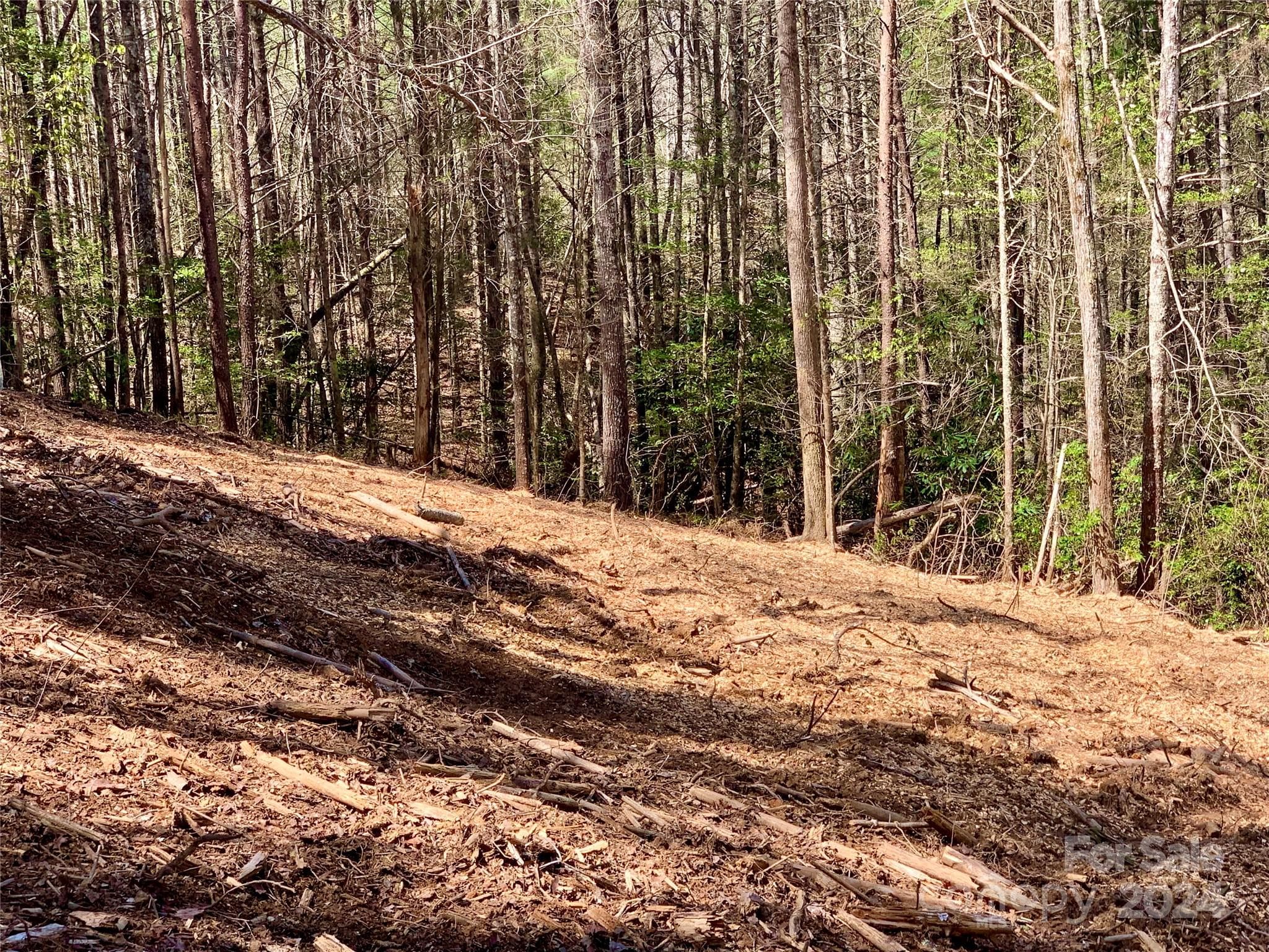 Lot at Lenoir, photo 6 of 44