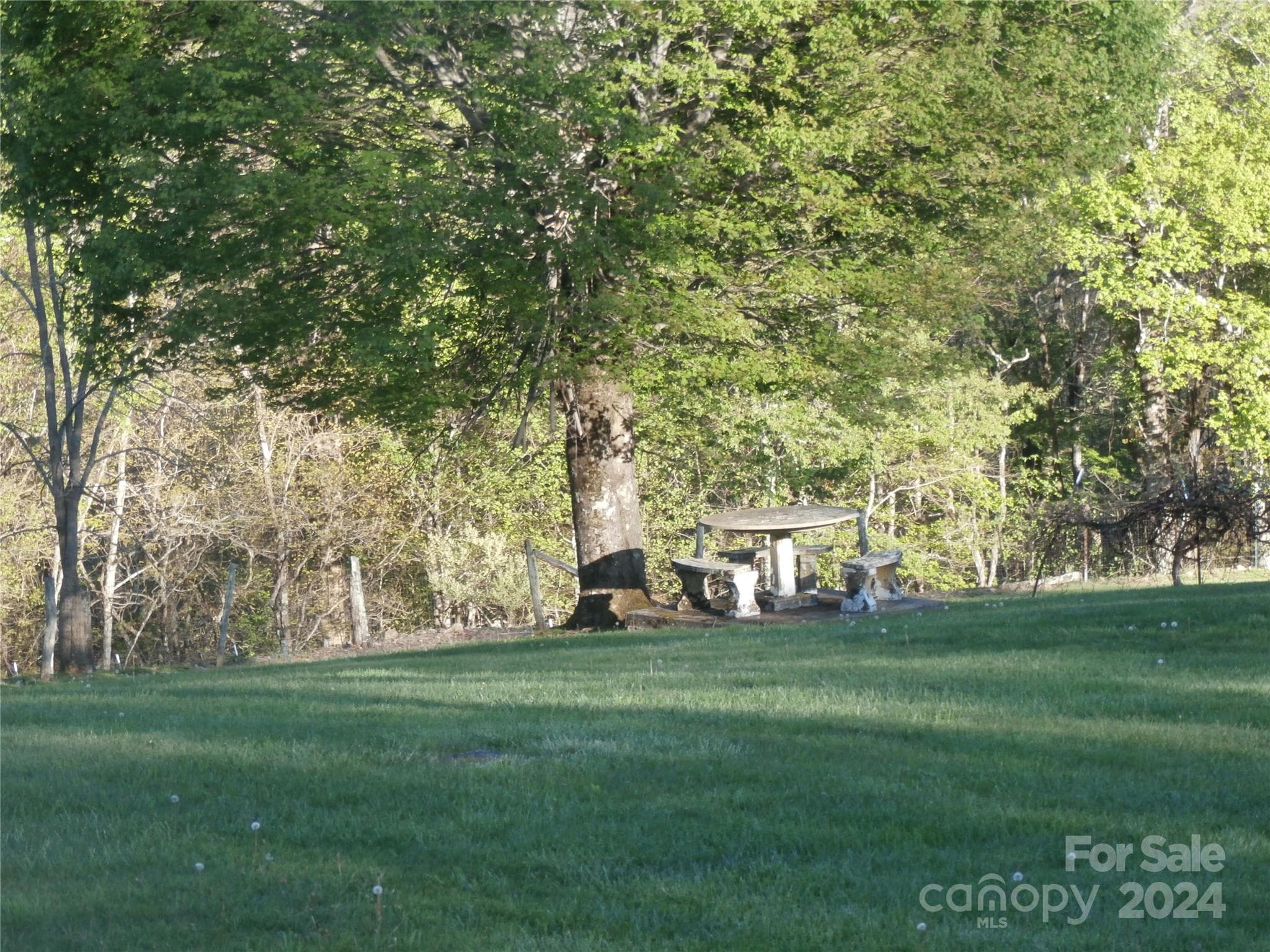 front lawn - 288 Firetower Road, Spruce Pine