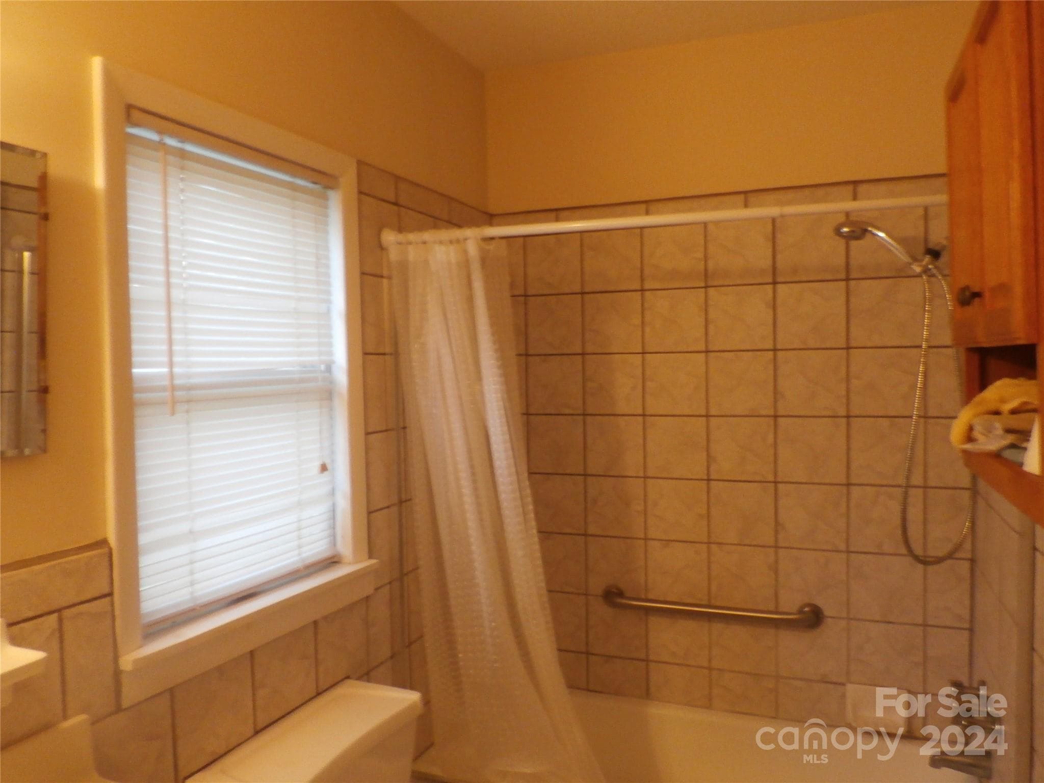 lower level bathroom - 288 Firetower Road, Spruce Pine