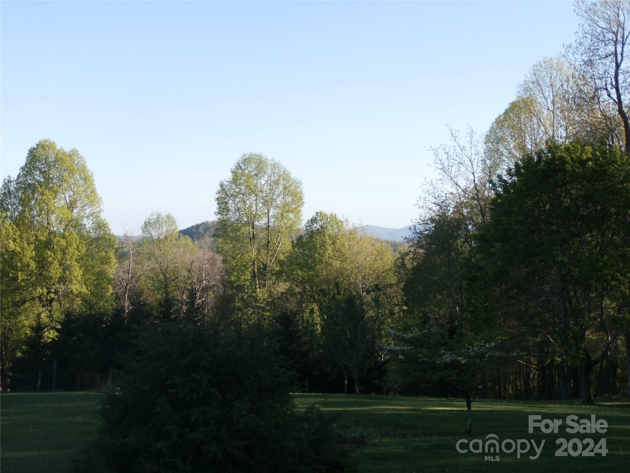 view from house - 288 Firetower Road, Spruce Pine