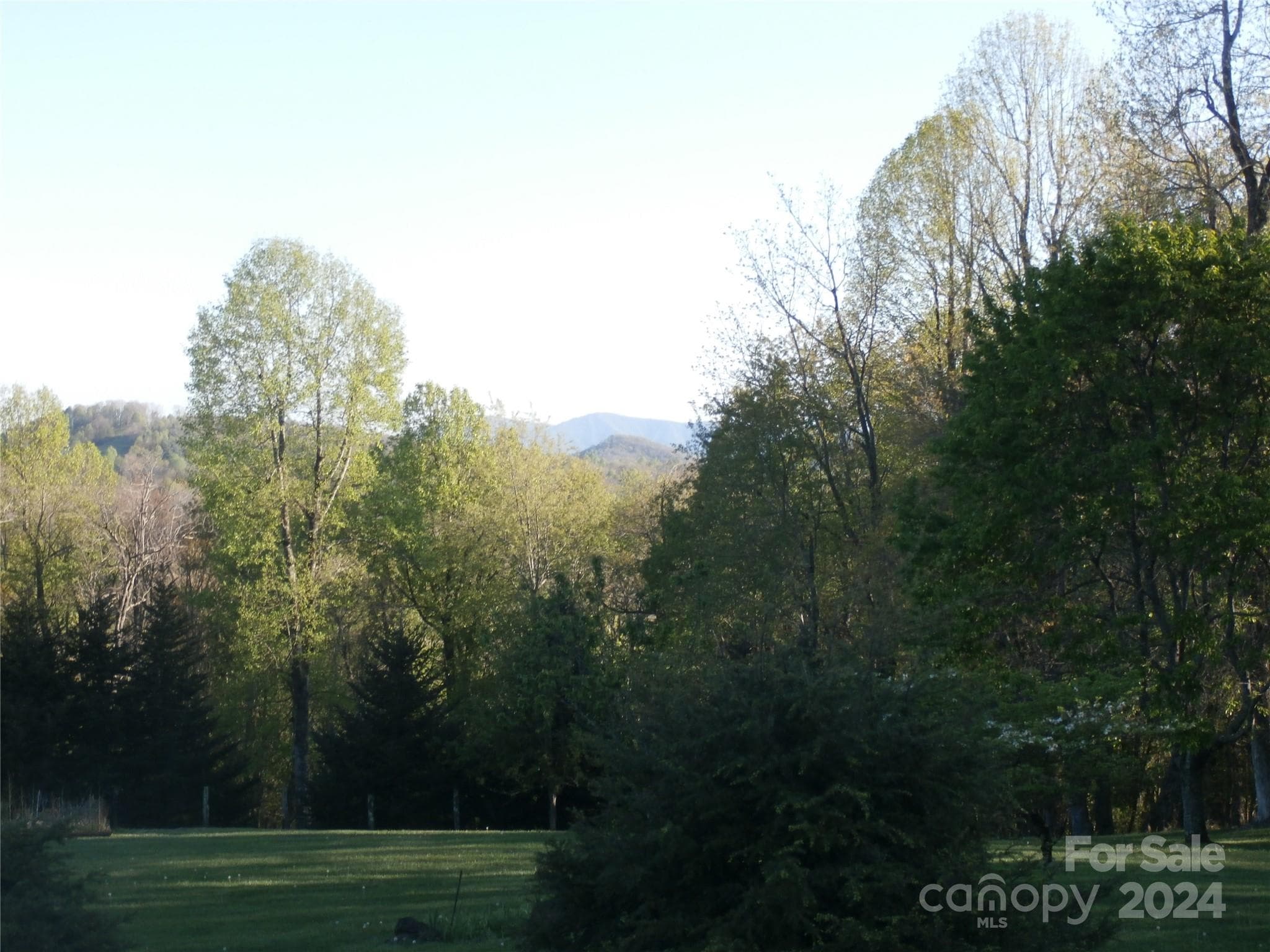 Single Family Residence at 288 Firetower Road, Spruce Pine, photo 20 of 47