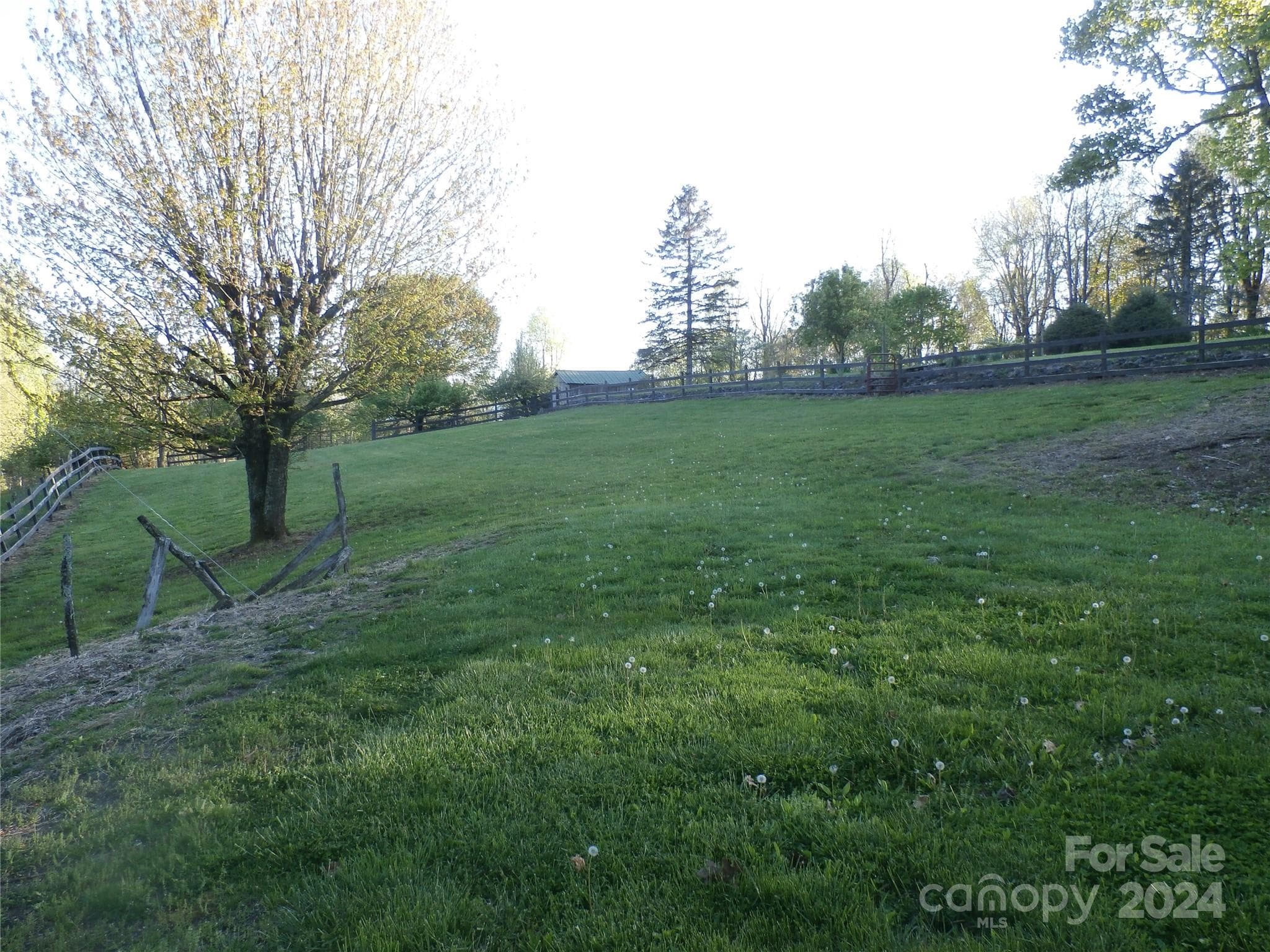 pasture area - 288 Firetower Road, Spruce Pine