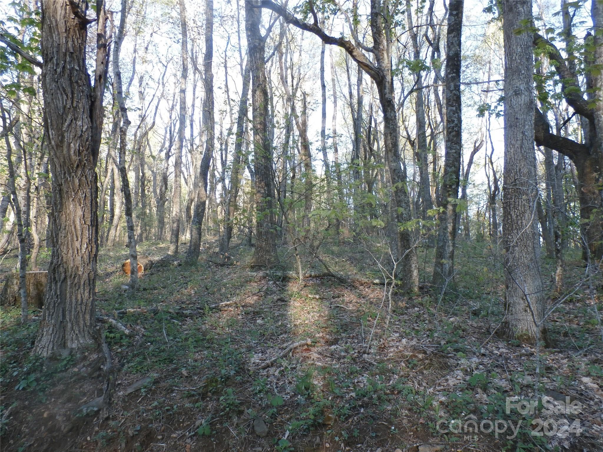 additional land - 288 Firetower Road, Spruce Pine