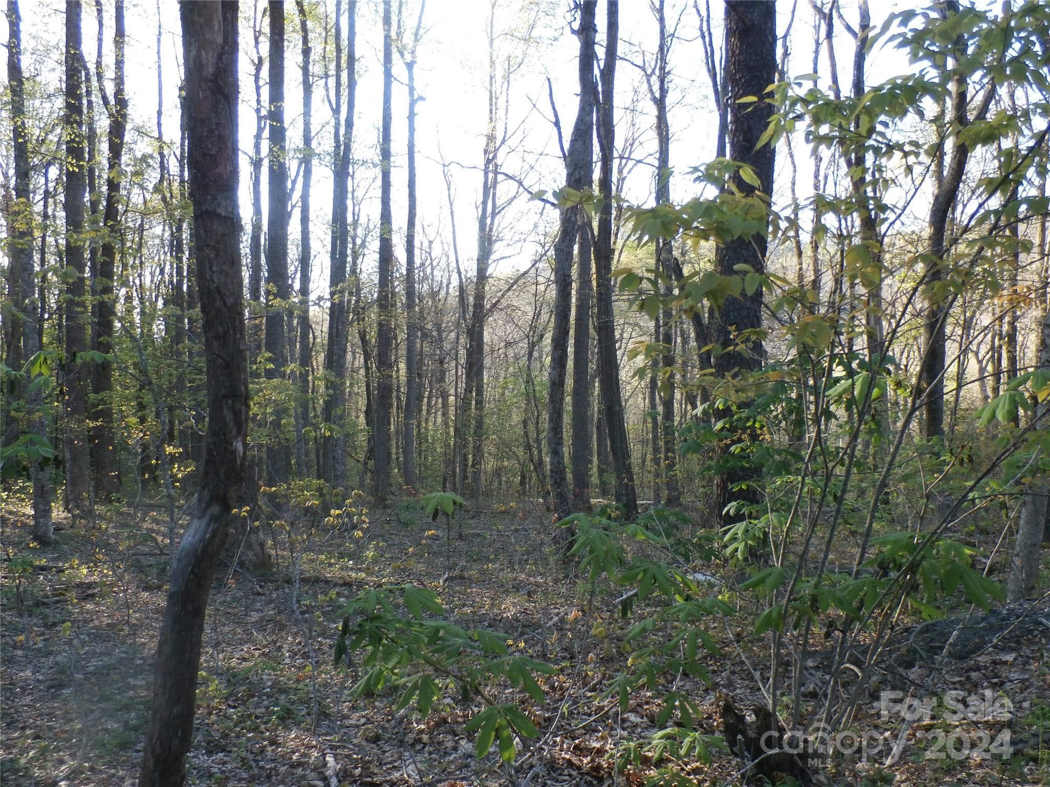 Single Family Residence at 288 Firetower Road, Spruce Pine, photo 31 of 47