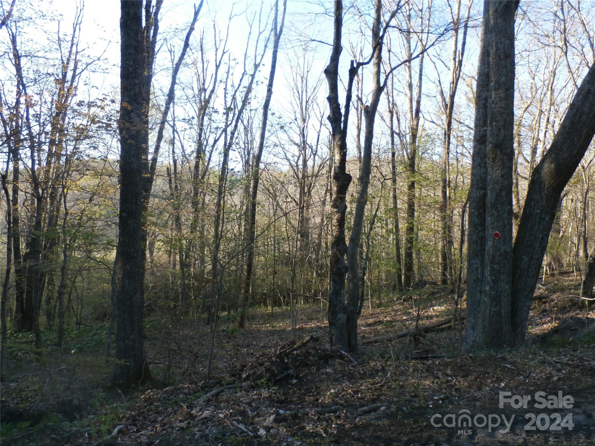 Single Family Residence at 288 Firetower Road, Spruce Pine, photo 32 of 47