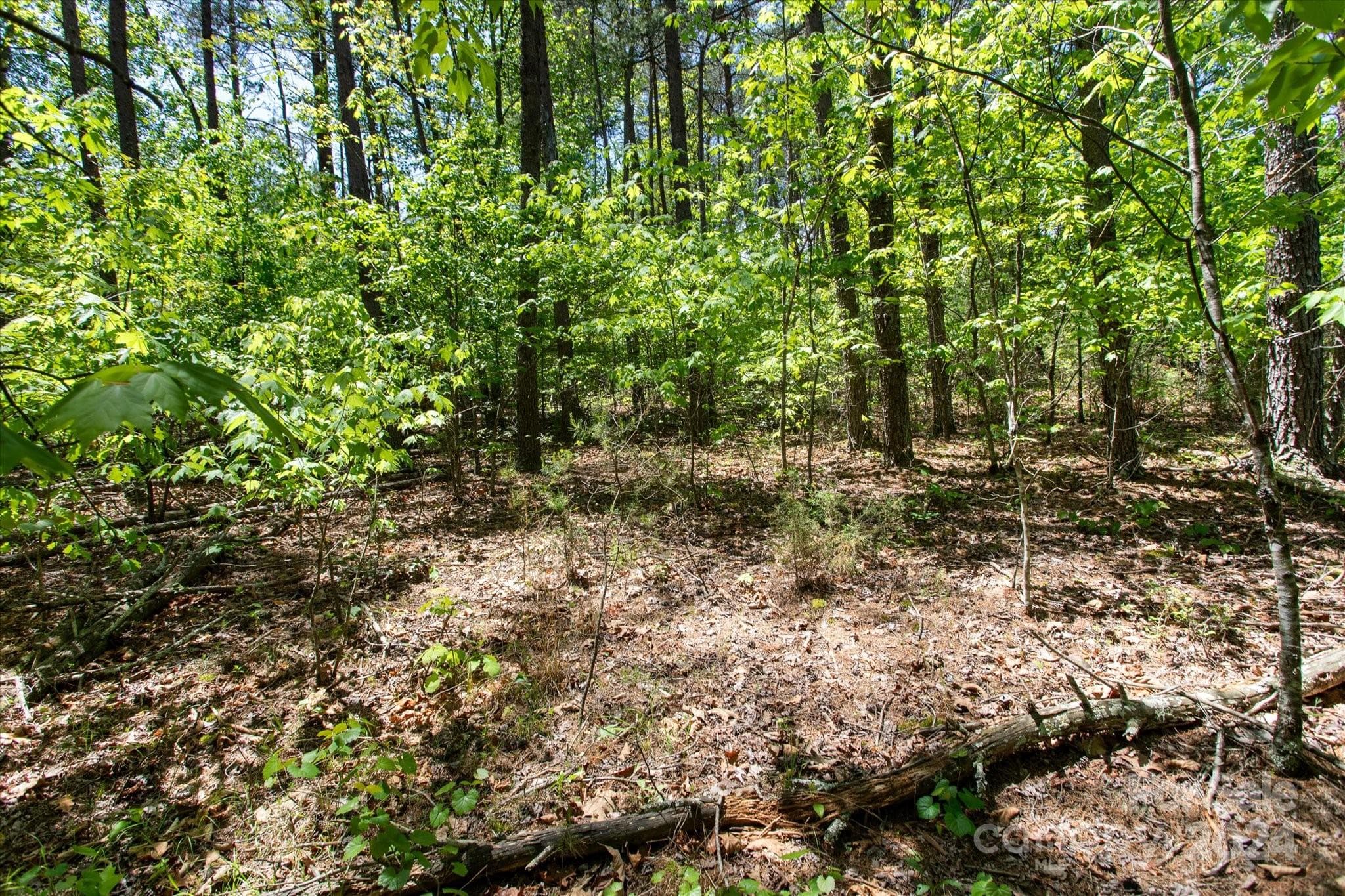 Lot at 99999 Hickory Loop, Rutherfordton, photo 3 of 14