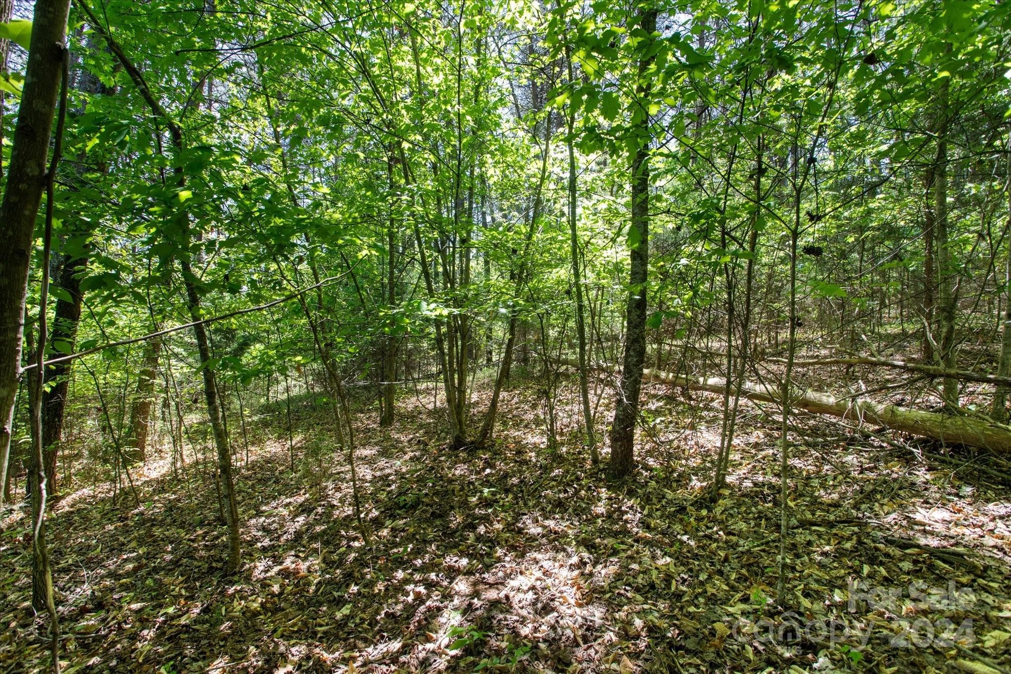 Lot at 99999 Hickory Loop, Rutherfordton, photo 7 of 14