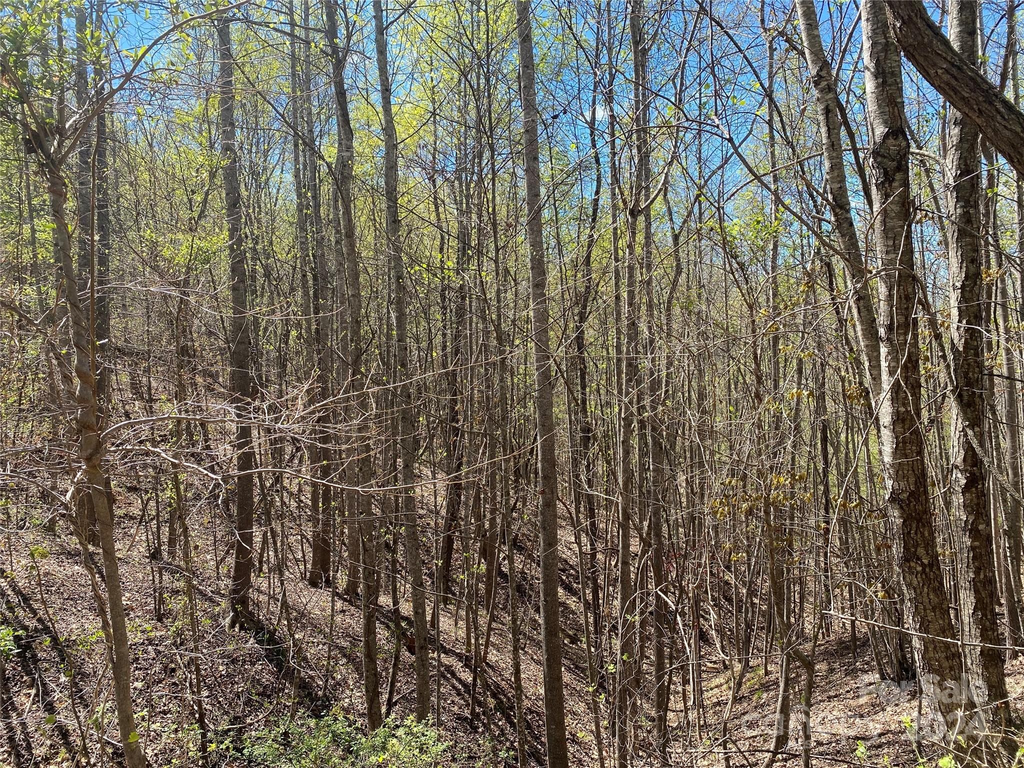 Lot at Nebo, photo 15 of 21