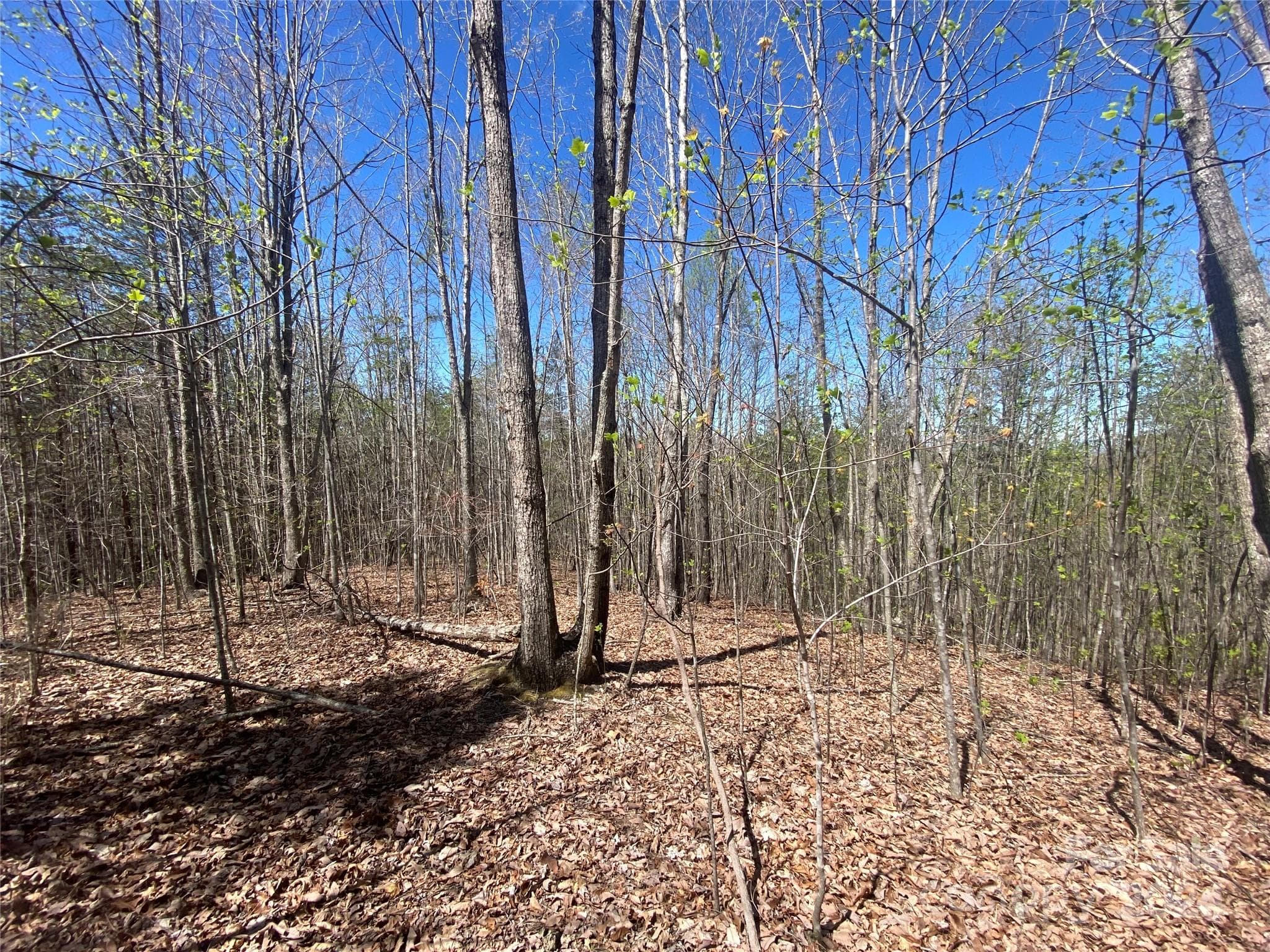 Lot at Nebo, photo 16 of 21