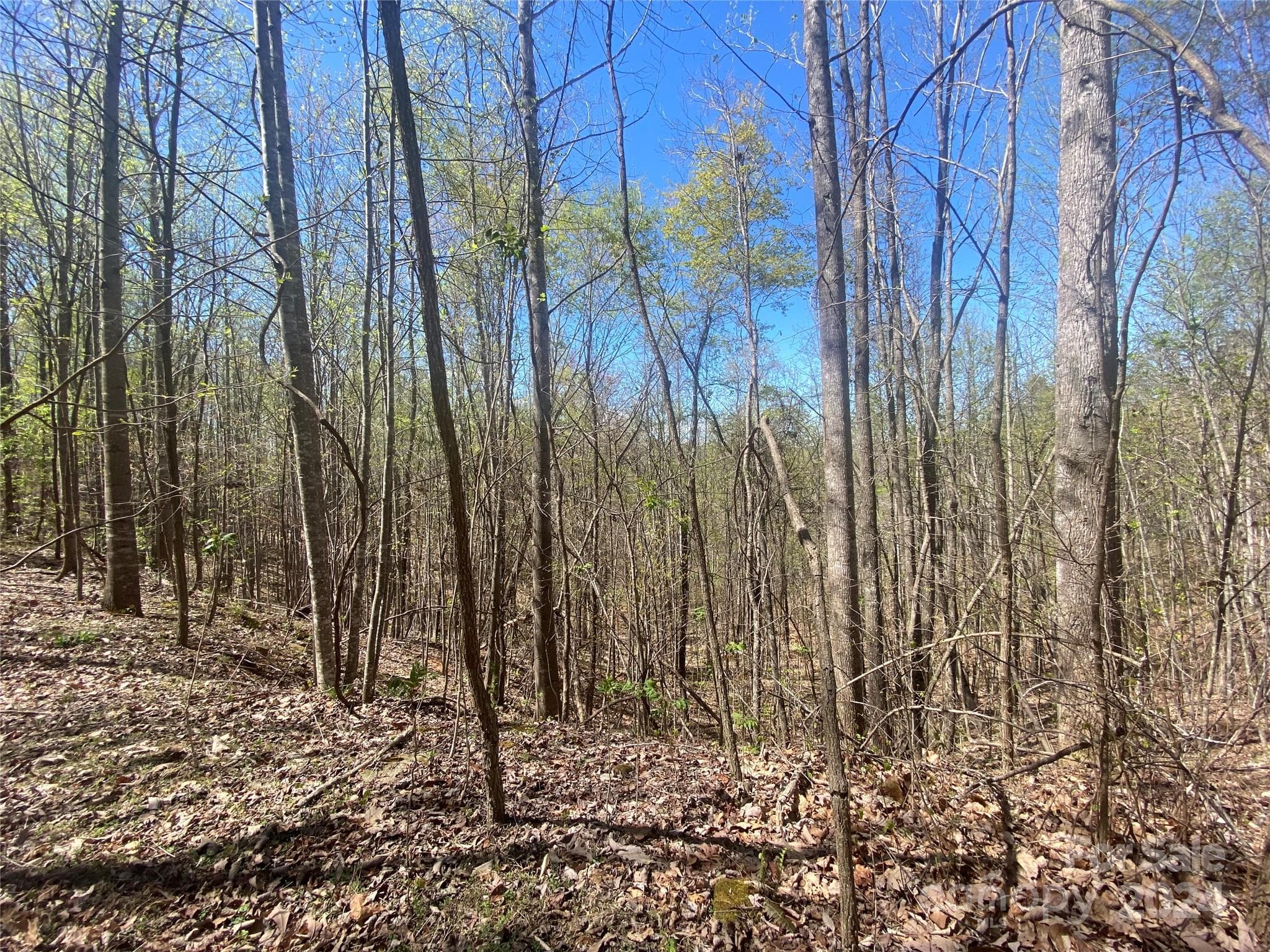 Lot at Nebo, photo 19 of 21