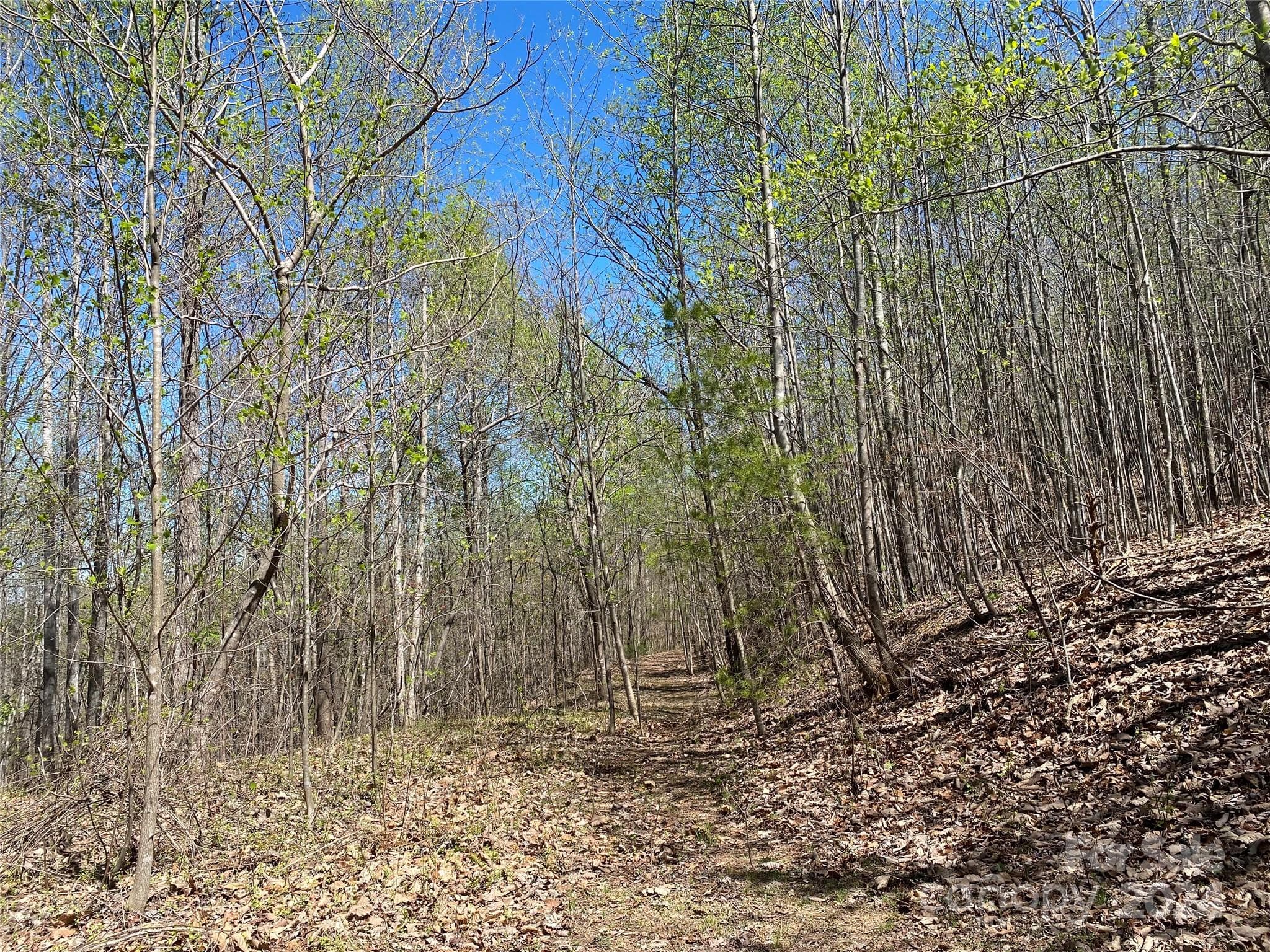 Lot at Nebo, photo 20 of 21