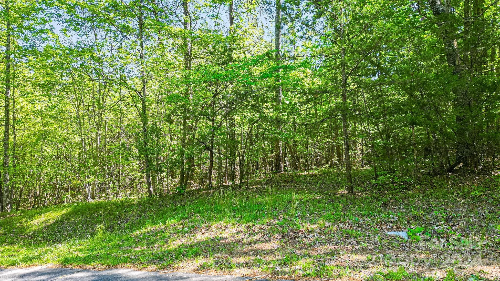 Lot at 0 W T Wilkins Road, Rutherfordton, photo 2 of 24
