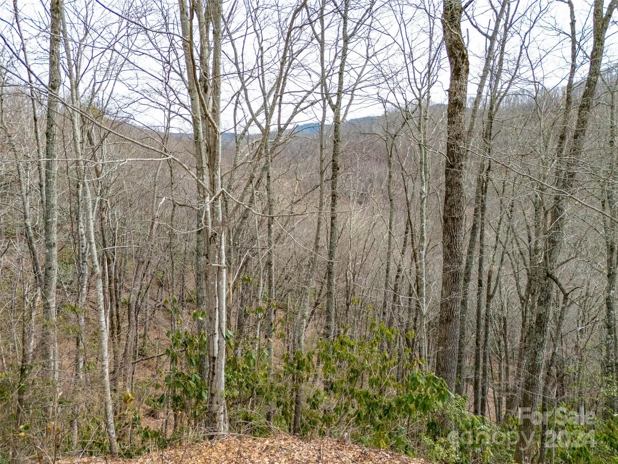 Lot at Maggie Valley, photo 8 of 10