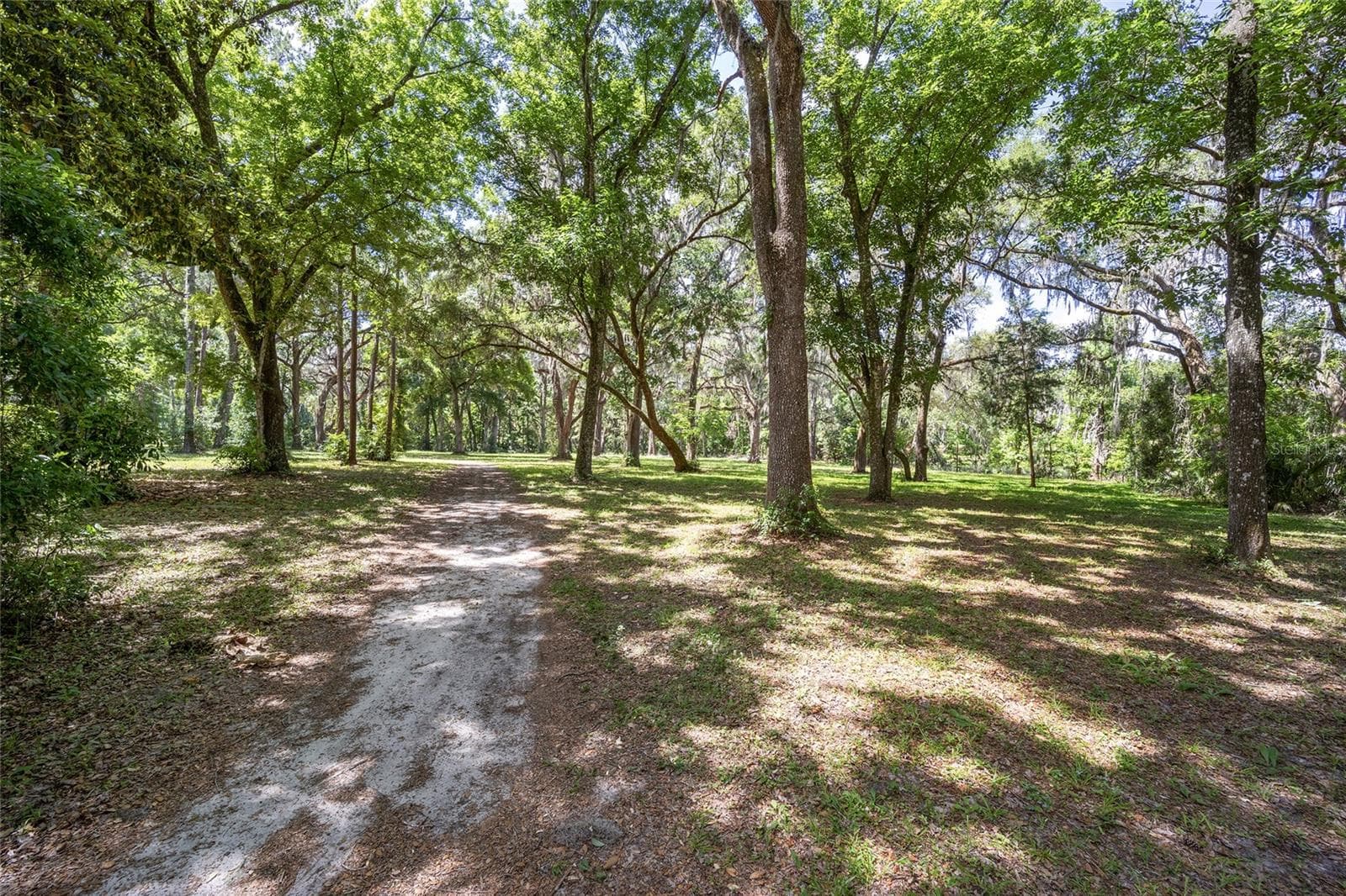 Land at 4850 SE 11TH AVE, OCALA, photo 4 of 30