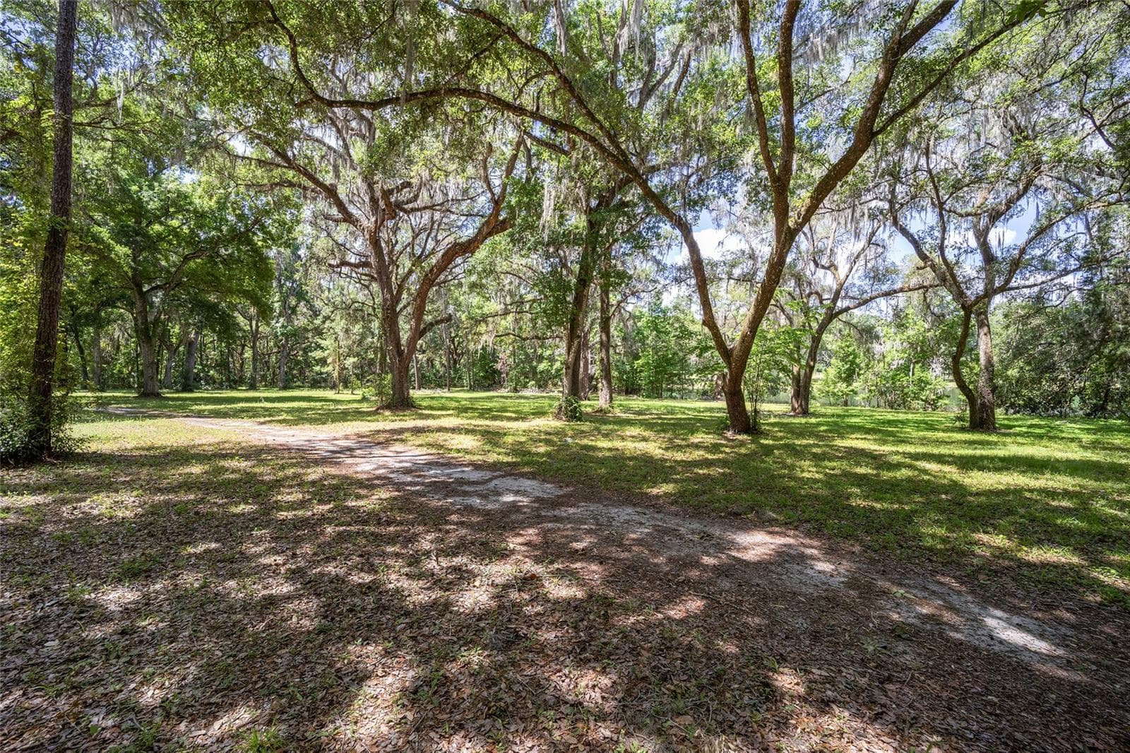Land at 4850 SE 11TH AVE, OCALA, photo 6 of 30