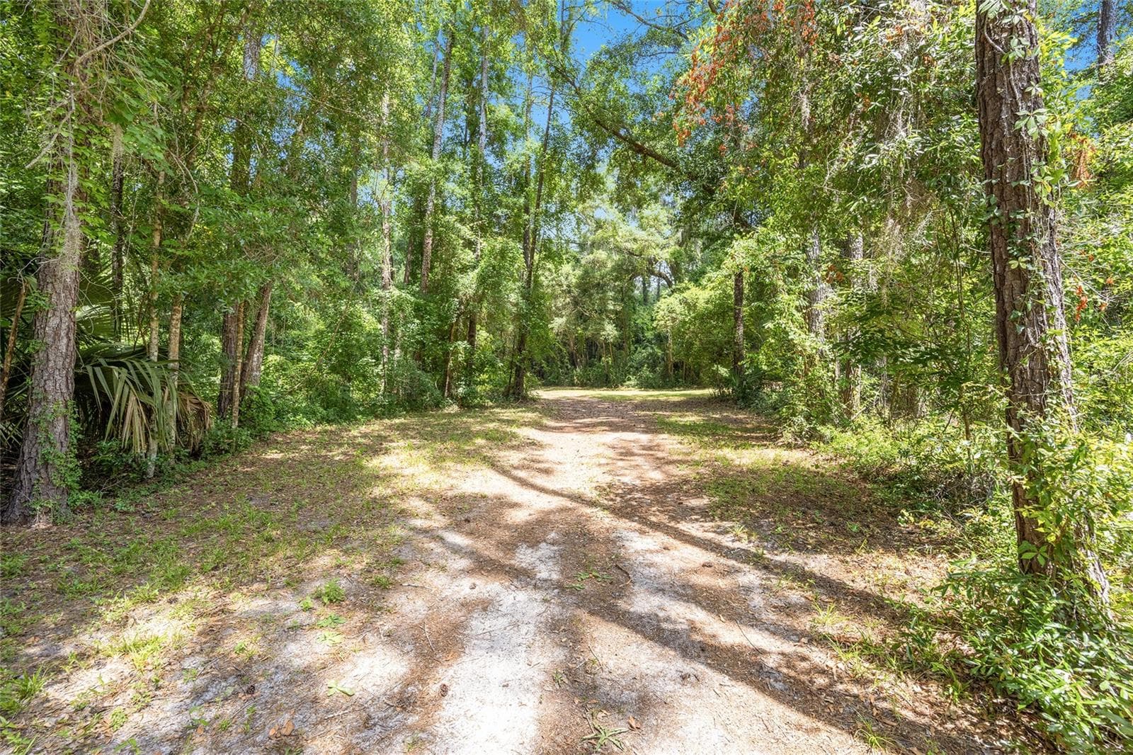 Land at 4850 SE 11TH AVE, OCALA, photo 10 of 30
