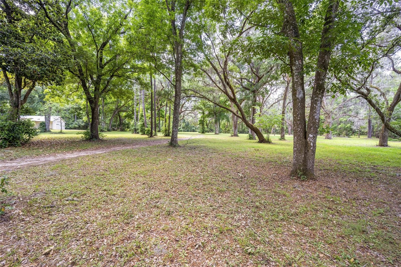Land at 4850 SE 11TH AVE, OCALA, photo 19 of 30