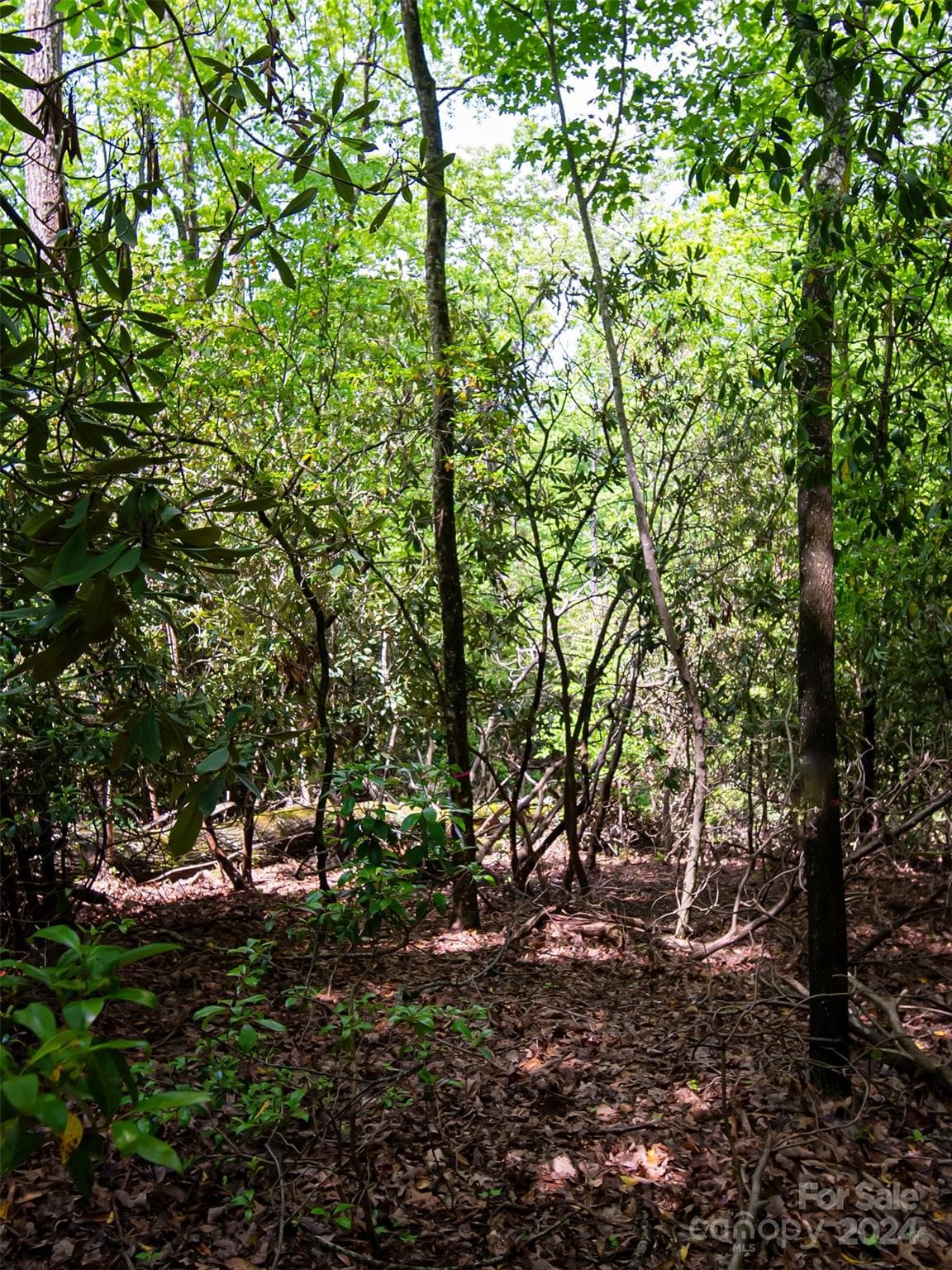 Lot at Hendersonville, photo 10 of 33
