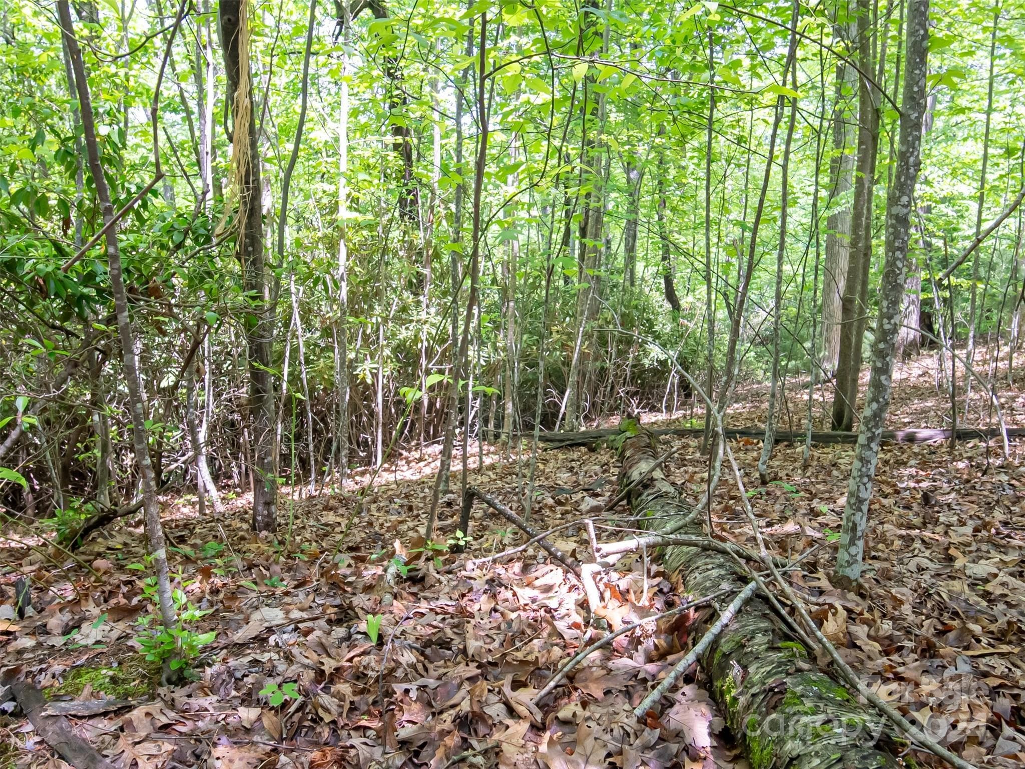Lot at Hendersonville, photo 15 of 33