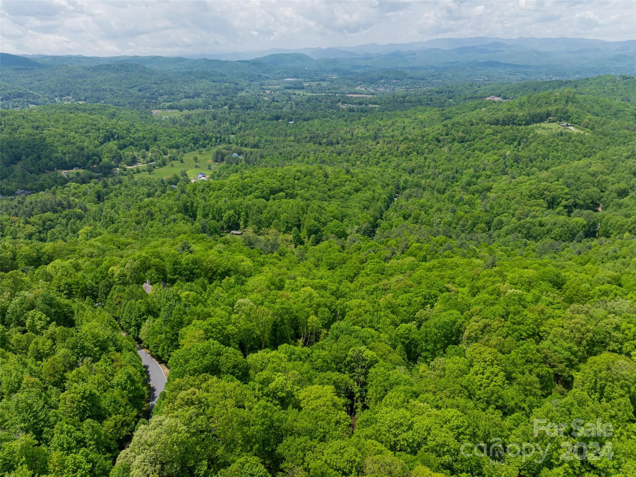 Lot at Hendersonville, photo 19 of 33