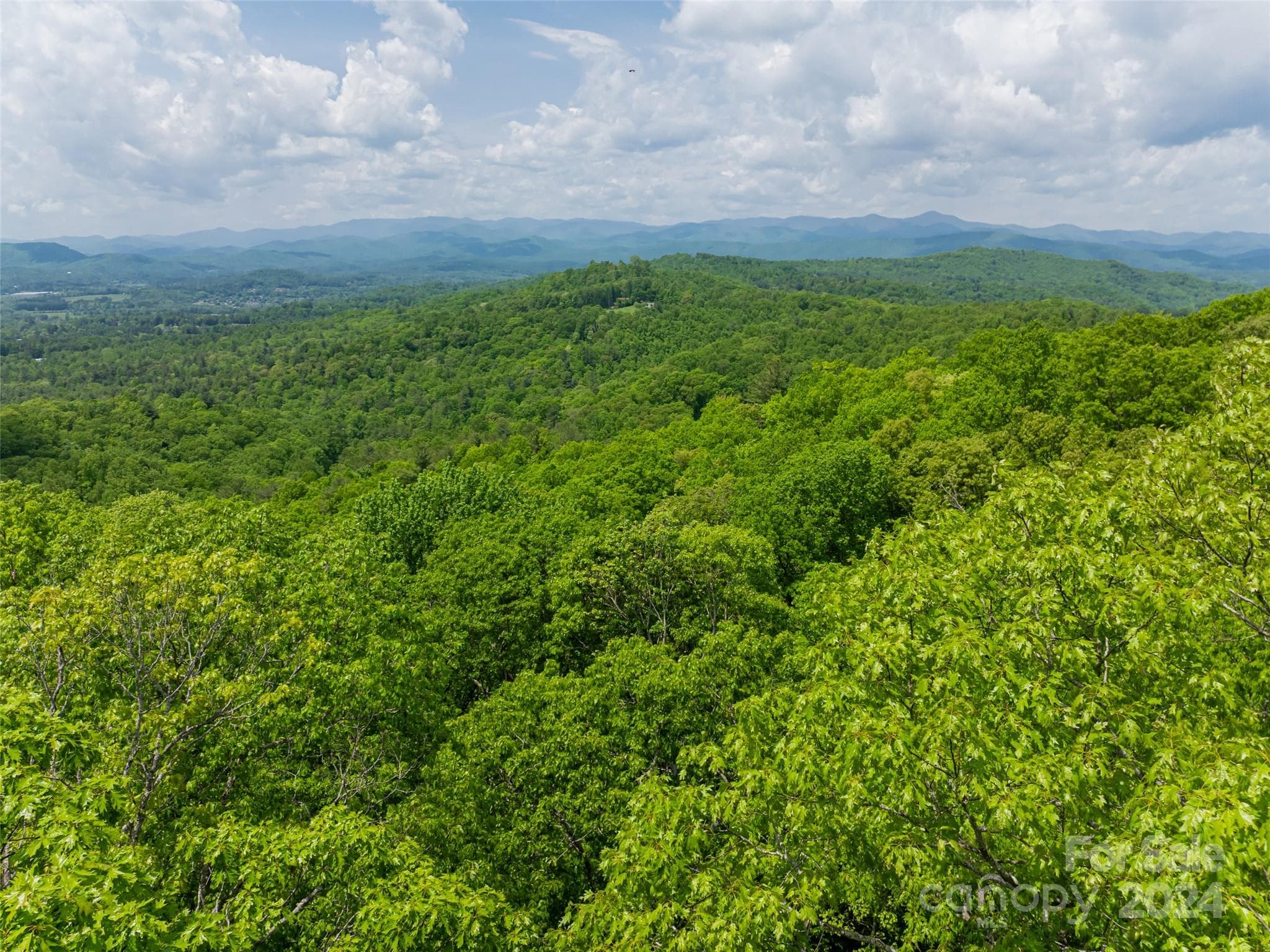 Lot at Hendersonville, photo 28 of 33