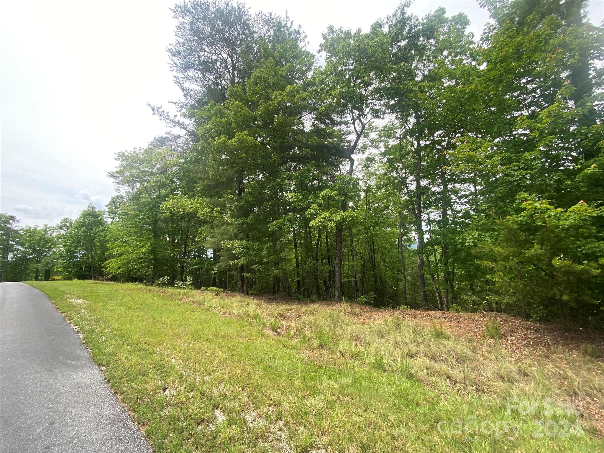 Bald Eagle Frontage... - Lot 49 Bald Eagle Lane, Marion