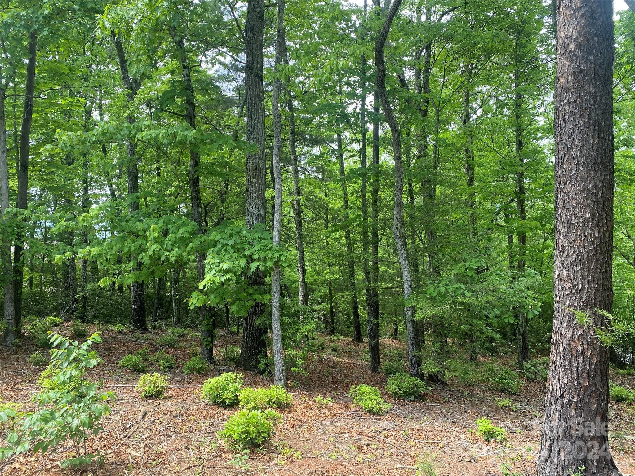 Lot at Lot 49 Bald Eagle Lane, Marion, photo 6 of 15