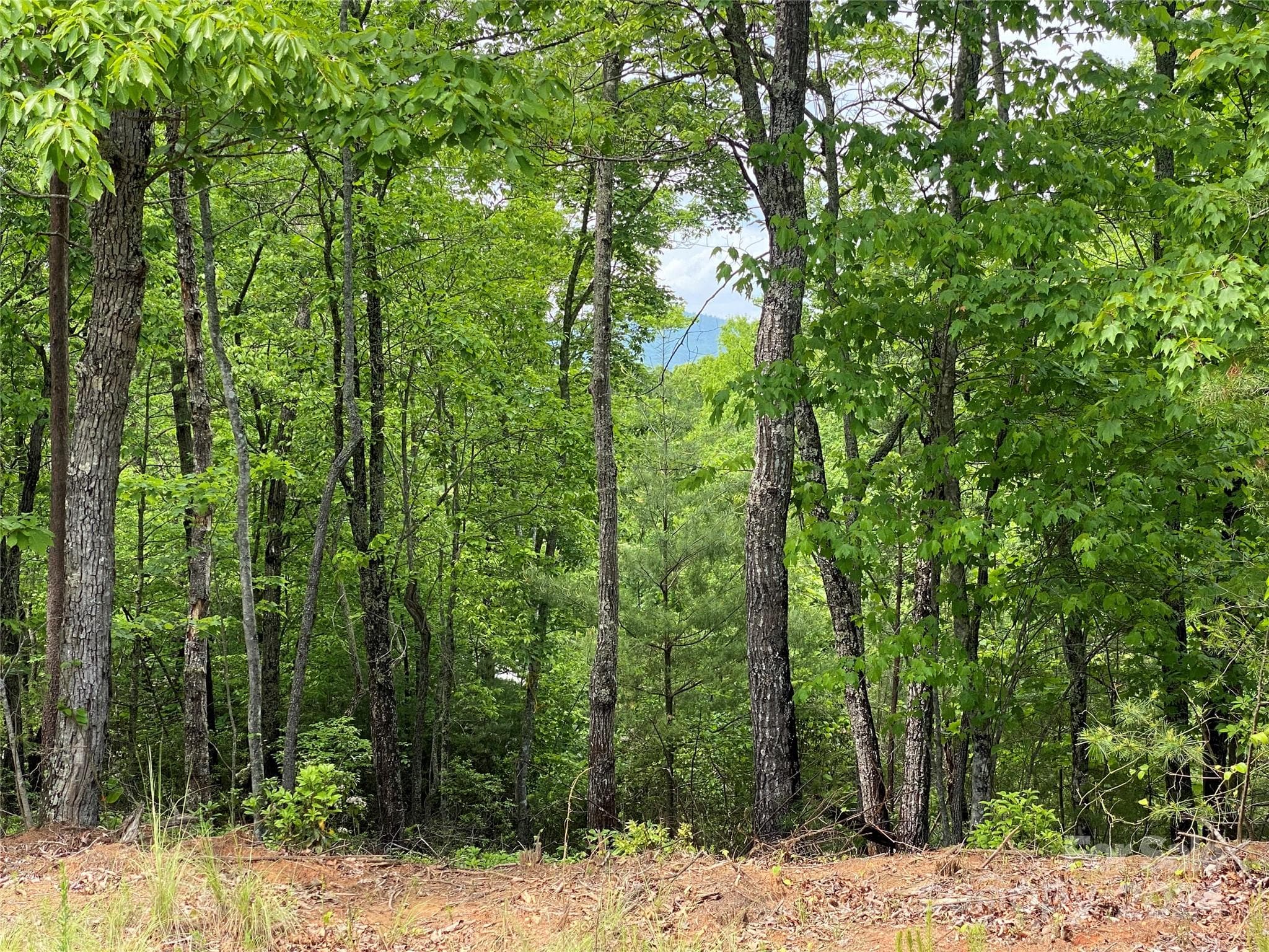 There's Mountains Behind These Trees! - Lot 49 Bald Eagle Lane, Marion
