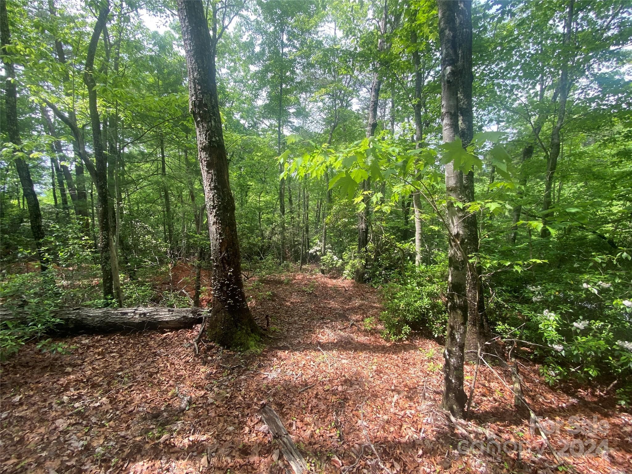 Lot at Lot 49 Bald Eagle Lane, Marion, photo 10 of 15