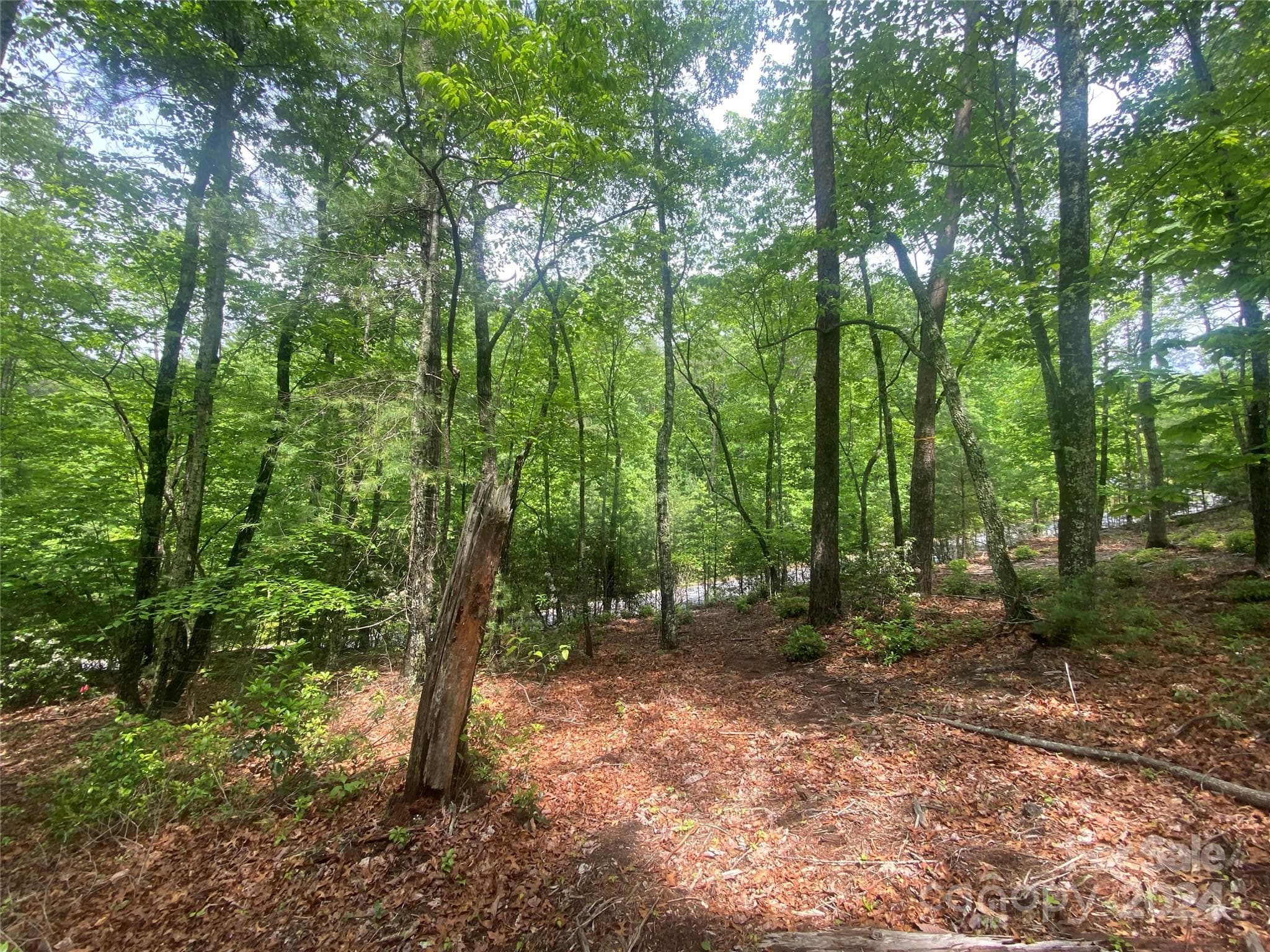 Lot at Lot 49 Bald Eagle Lane, Marion, photo 11 of 15