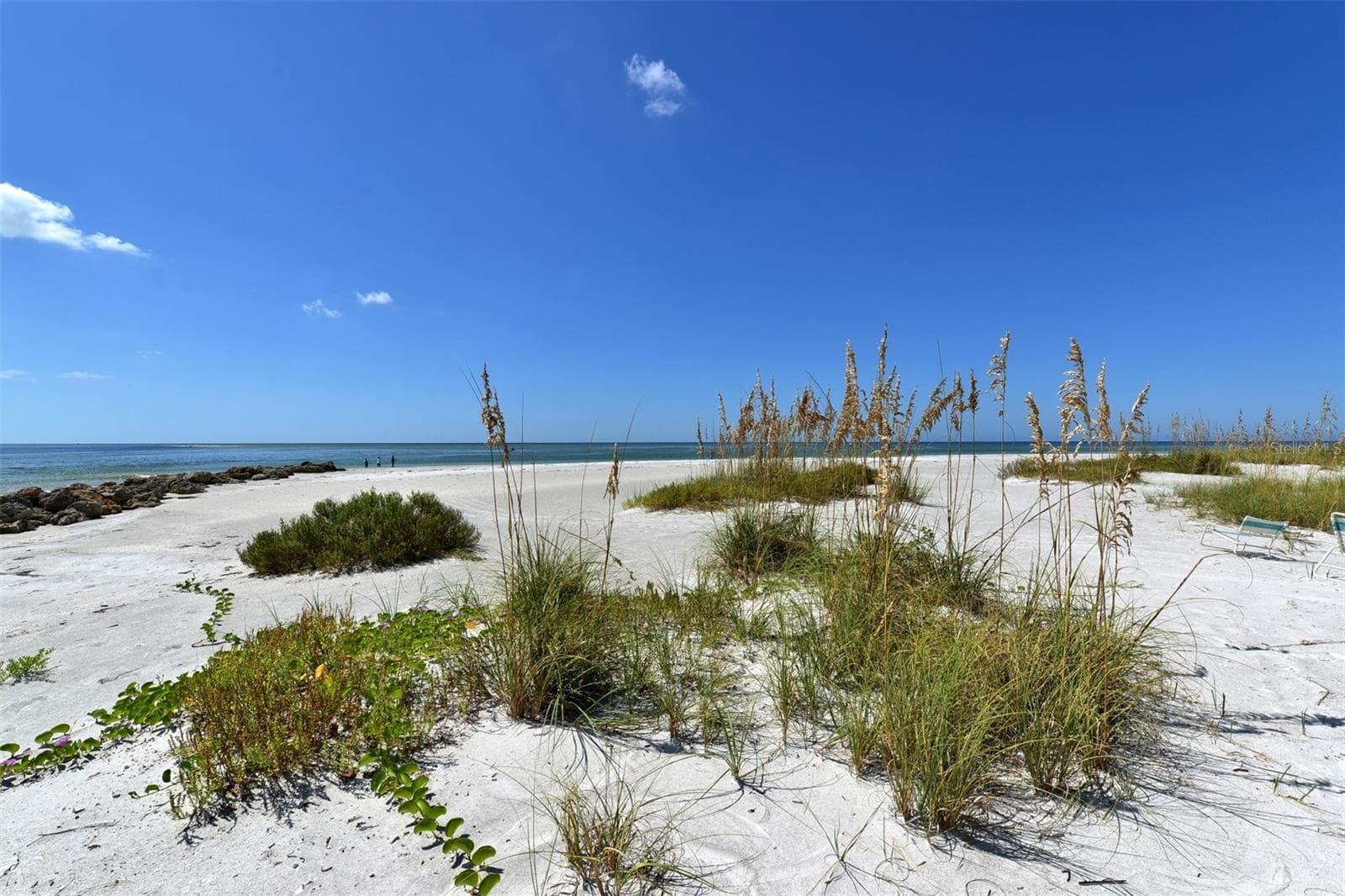 Condominium at 100 SANDS POINT RD #324, LONGBOAT KEY, photo 37 of 49