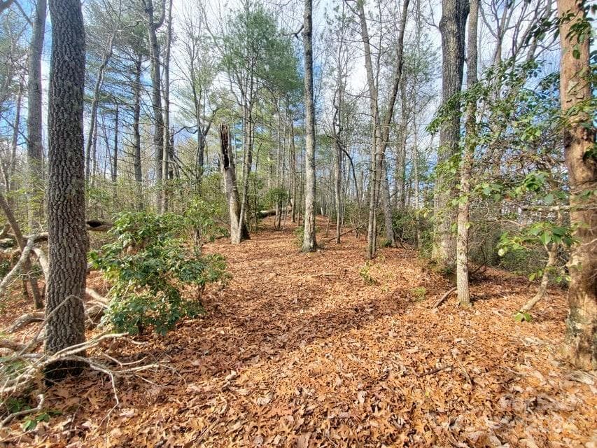 Lot at Bakersville, photo 2 of 38