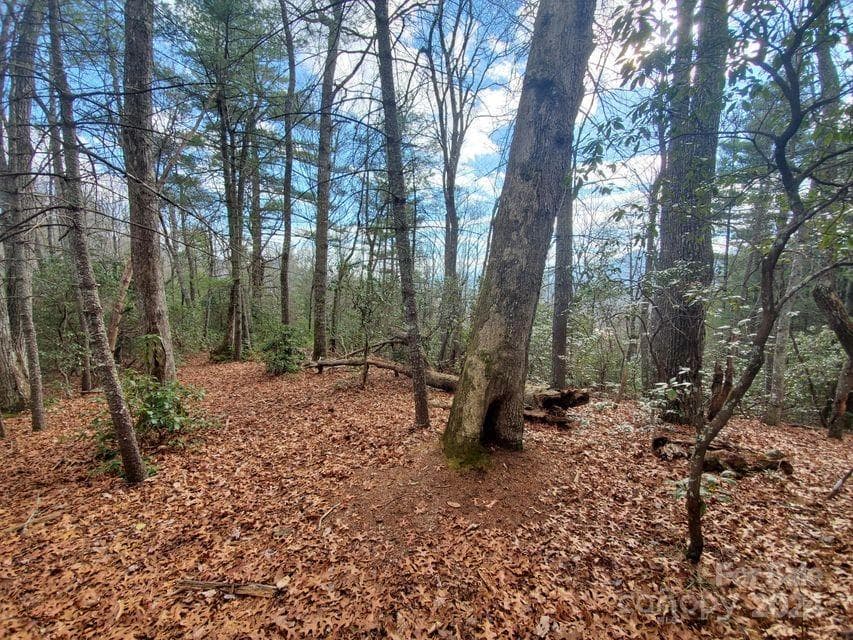 Lot at Bakersville, photo 3 of 38