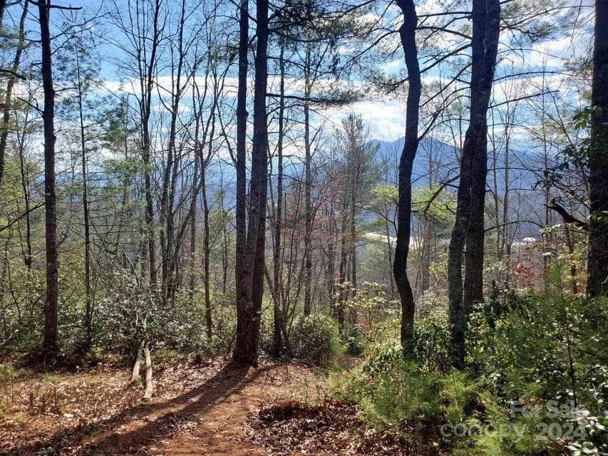 Lot at Bakersville, photo 4 of 38