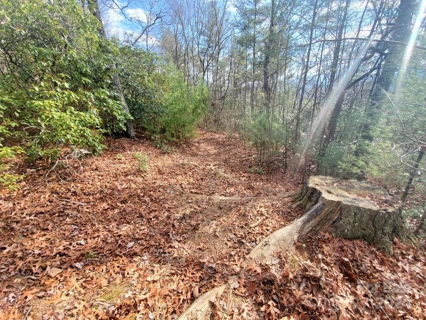 Lot at Bakersville, photo 7 of 38