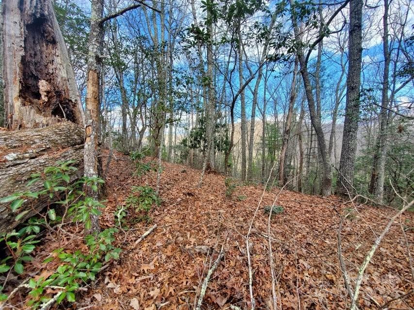 Lot at Bakersville, photo 8 of 38