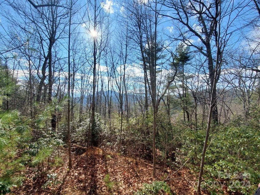 Lot at Bakersville, photo 14 of 38