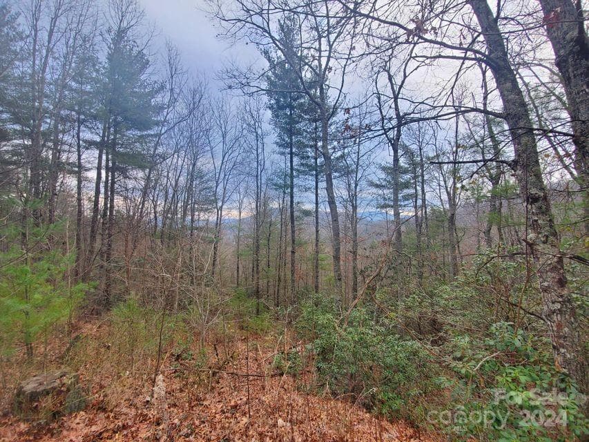 Lot at Bakersville, photo 15 of 38