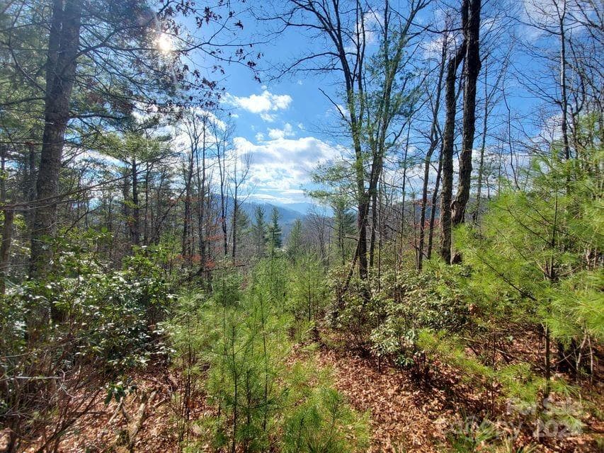 Lot at Bakersville, photo 17 of 38