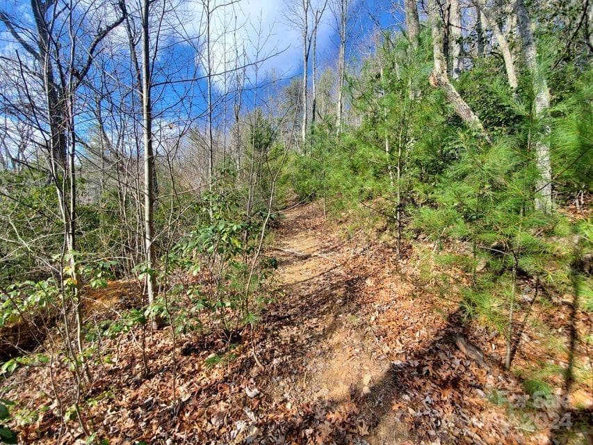 Lot at Bakersville, photo 18 of 38