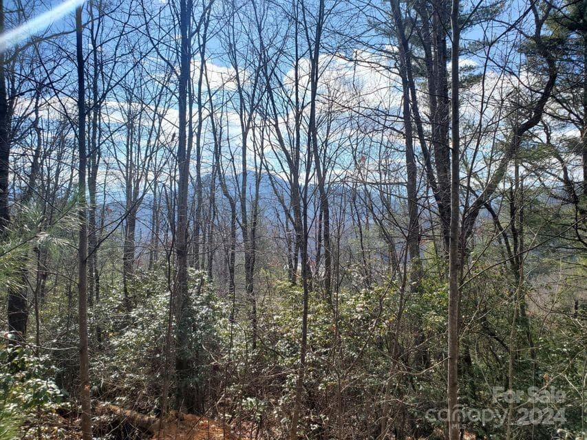 Lot at Bakersville, photo 19 of 38