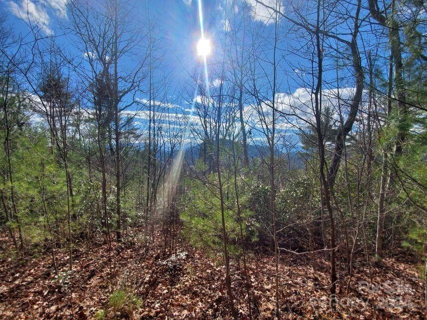 Lot at Bakersville, photo 20 of 38