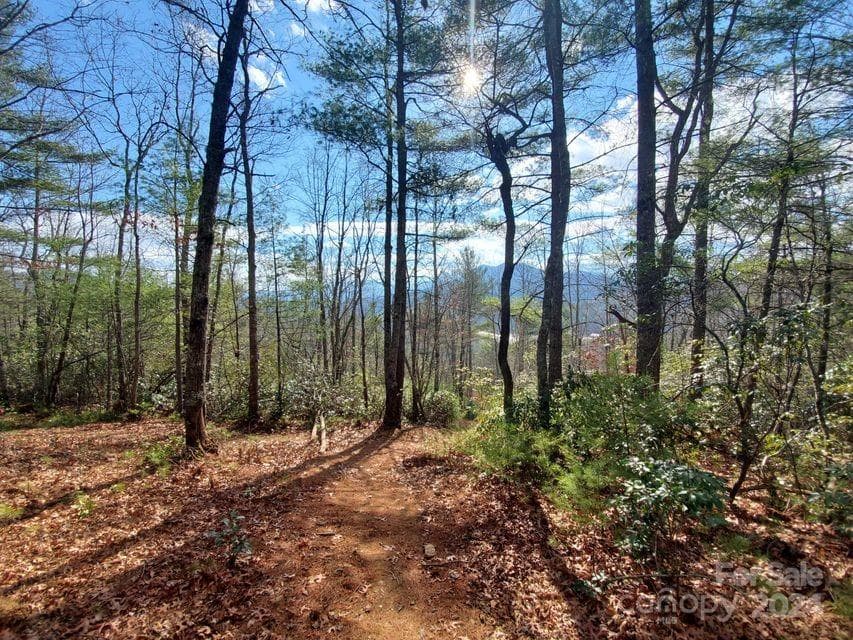 Lot at Bakersville, photo 21 of 38