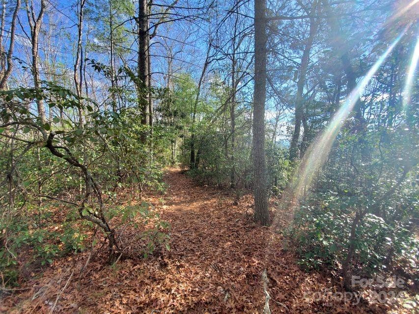 Lot at Bakersville, photo 23 of 38