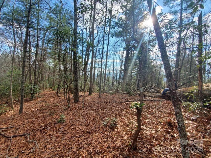 Lot at Bakersville, photo 24 of 38