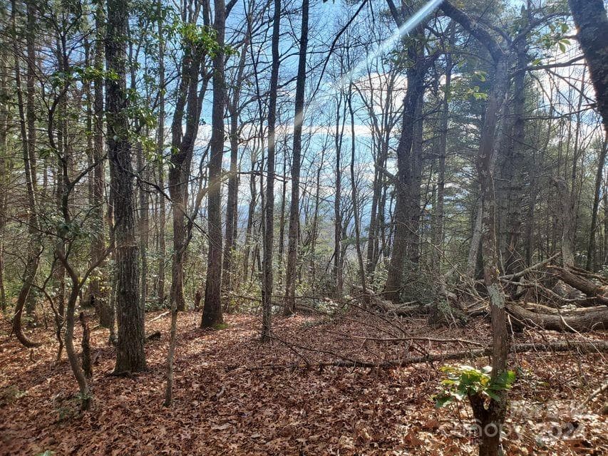Lot at Bakersville, photo 25 of 38